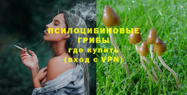 шишки Бугульма