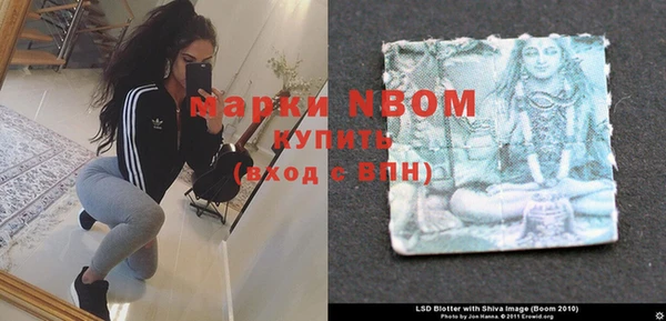 хмурый Бронницы
