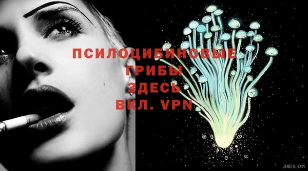 apvp Инта