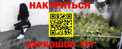 шишки Можайск