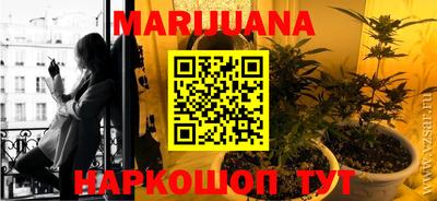 шишки Можайск