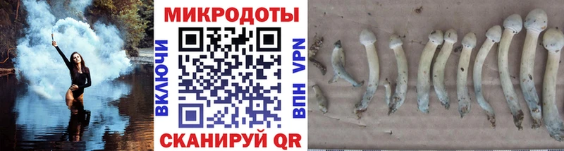 Псилоцибиновые грибы мицелий  OMG ссылки  Великий Устюг 