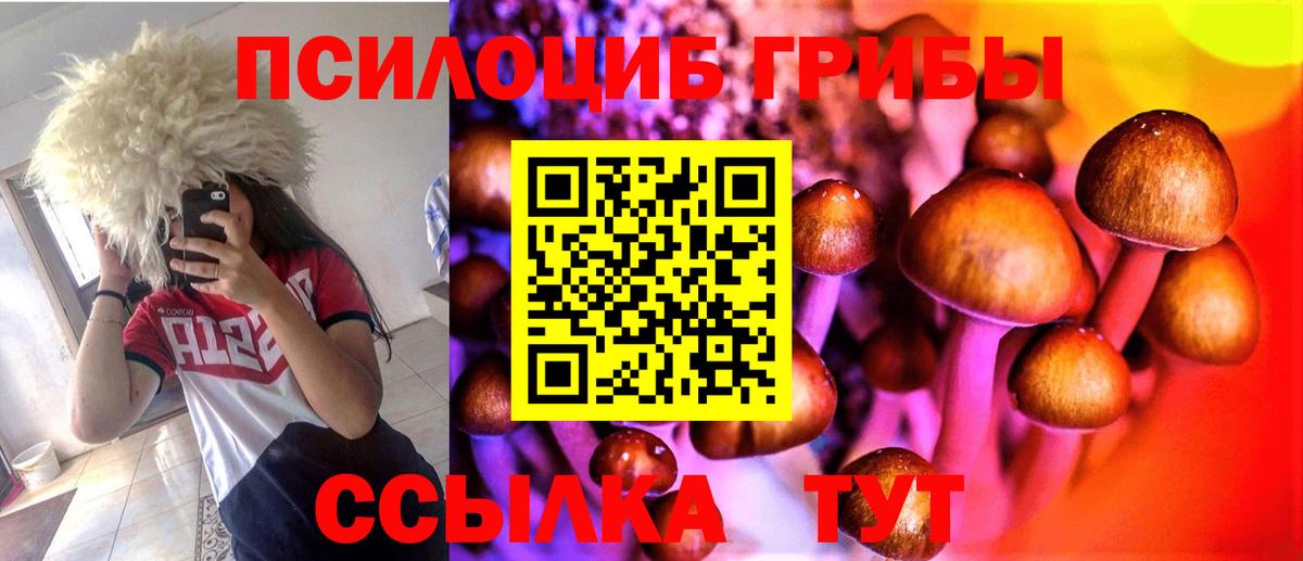 Псилоцибиновые грибы Cubensis Великий Устюг