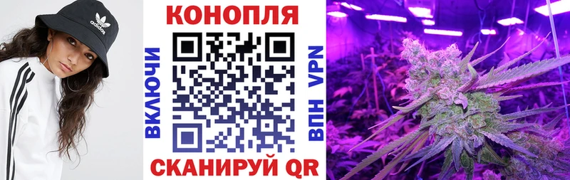 блэк спрут онион  магазин  наркотиков  Великий Устюг  Конопля Amnesia 